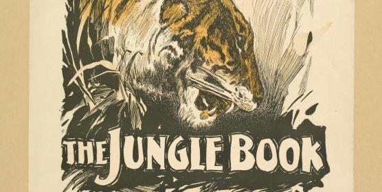 book review the jungle