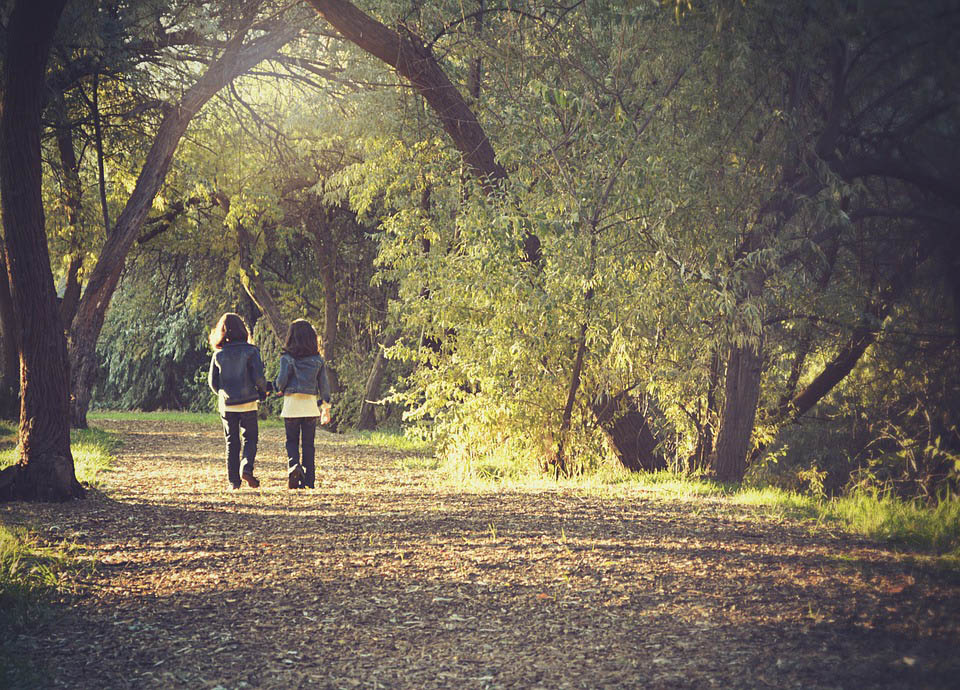 Image depicting Walk with Nature and be stress free