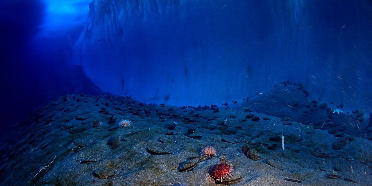Dünya okyanuslarındaki en derin noktalar nelerdir?