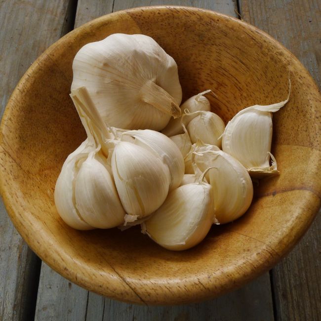 Image depicting Garlic - Healthify!