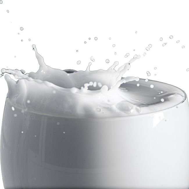 Image depicting Healthify - Milk!