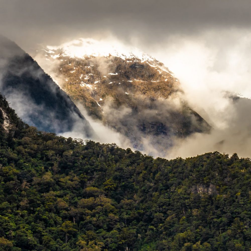 Image depicting Fiordland National Park, New Zealand – International Travel Diaries!