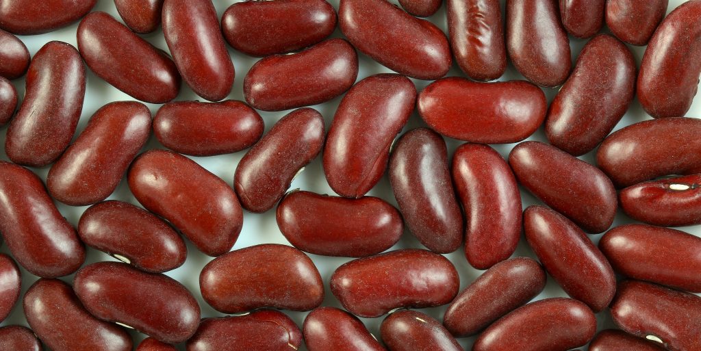 Healthify Kidney beans Curious Times