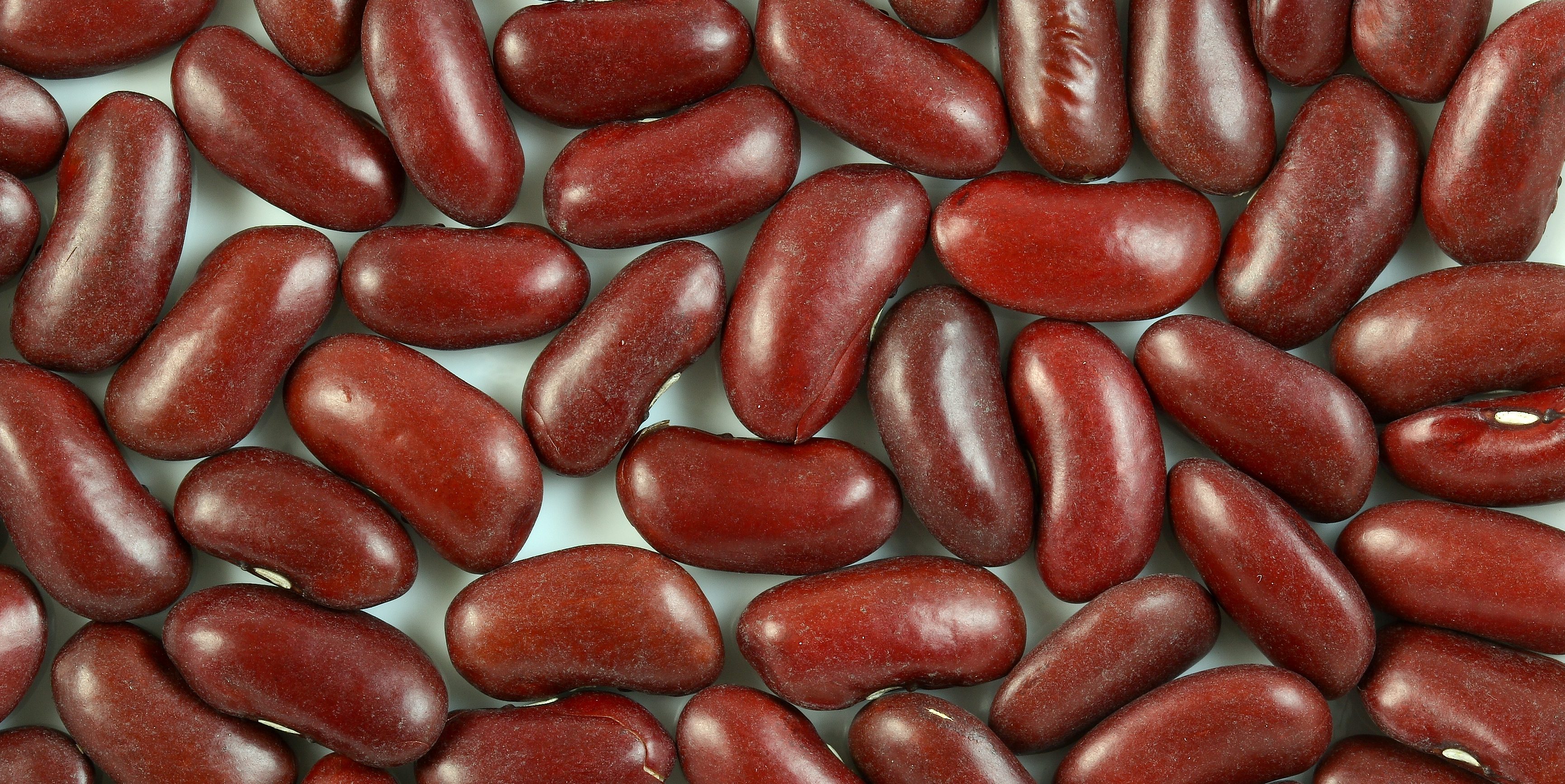 healthify-kidney-beans-curious-times