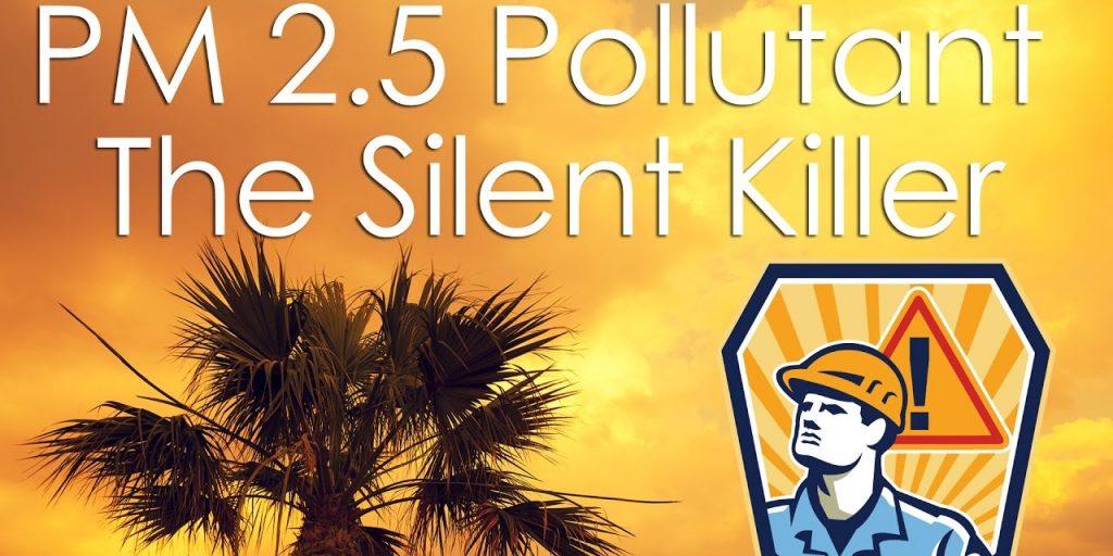 Air pollution: The harmful effects of PM 10 and PM 2.5 | Curious Times