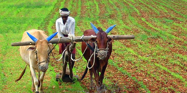 image depicting National Farmer's Day (Kisan Diwas) - 23 December