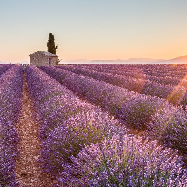 Image depicting International Travel Map - Provence, France!