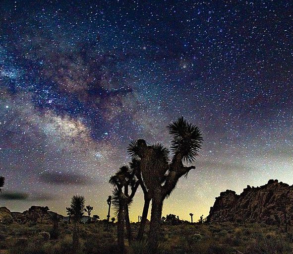 Image depicting Joshua_Tree_National_Park_Night_Sky, Night