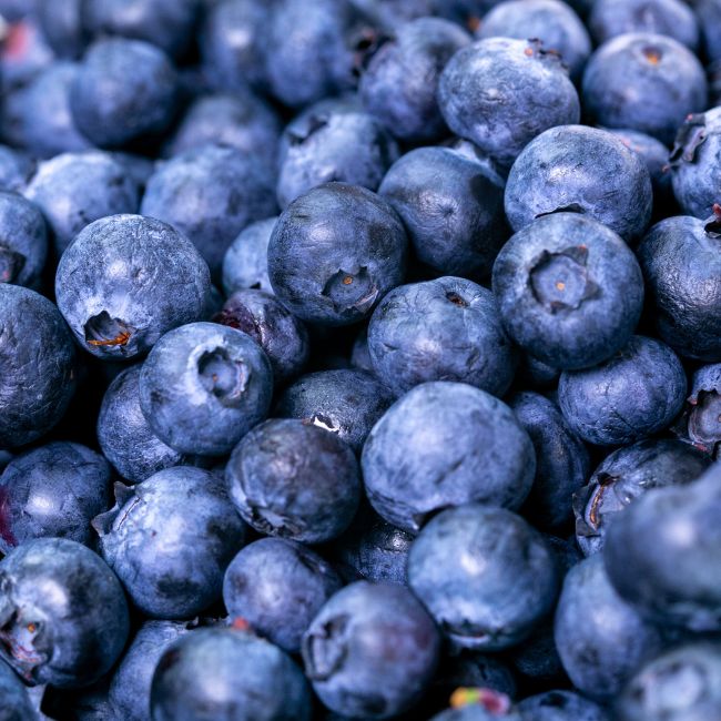 Image depicting Healthify - Blueberries!