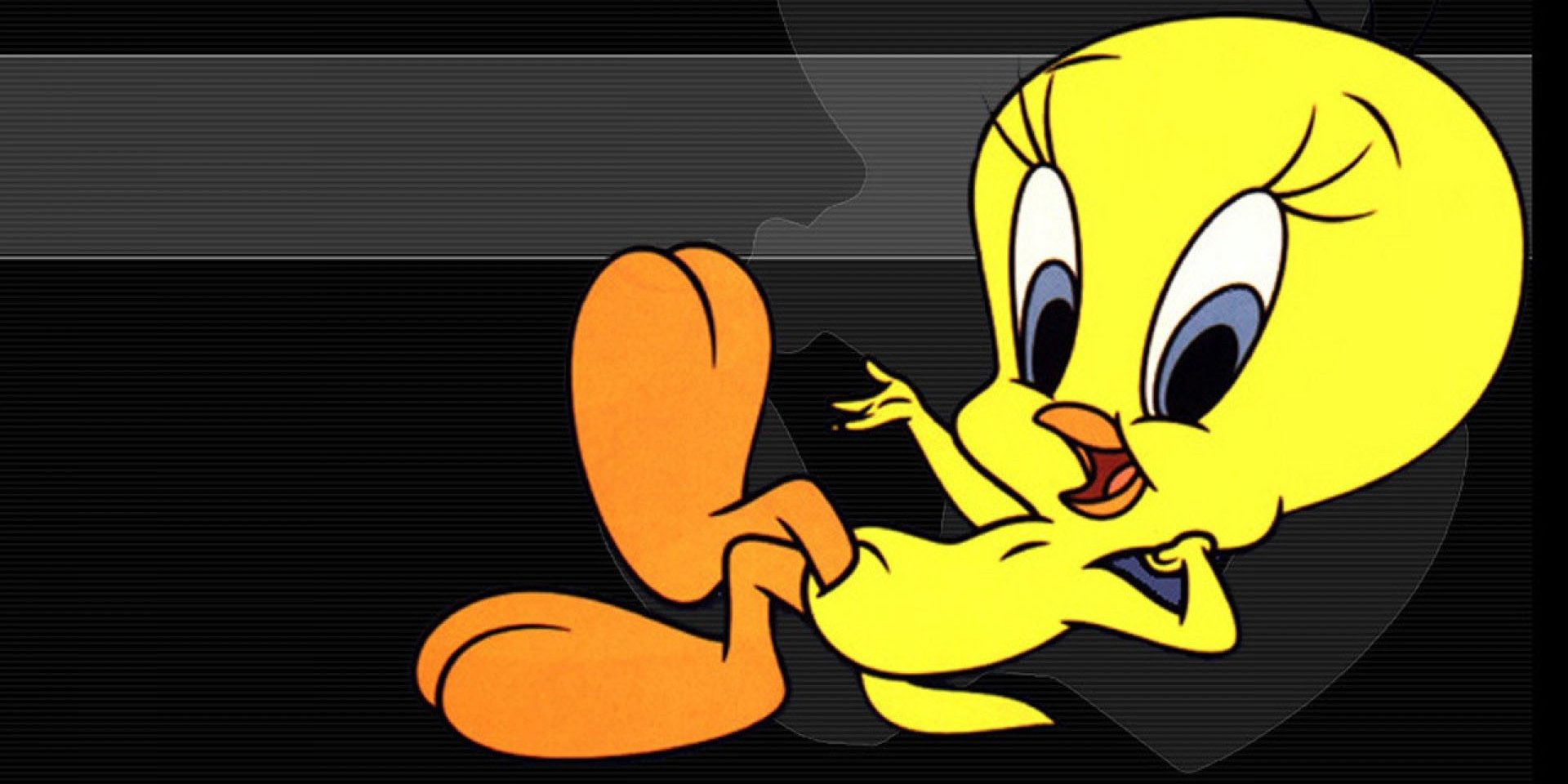 Everyone's favourite innocent little yellow bird - Tweety Curious Time...