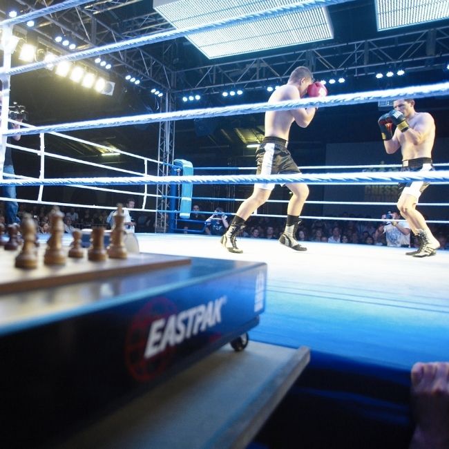 Brains and brawn: The hybrid sport of chessboxing moves from freak