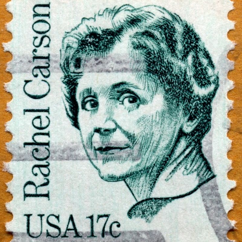 image depicting Leading by example - Rachel Carson