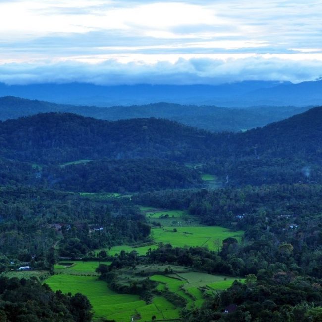 Image depicting coorg, as in, Not-So-Hot-Spot - Coorg, Karnataka