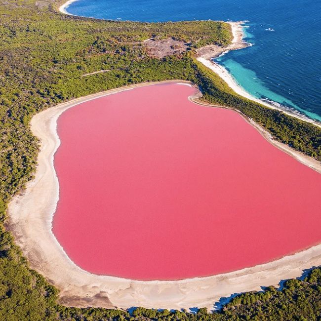 Image depicting Pink lake or Sea!