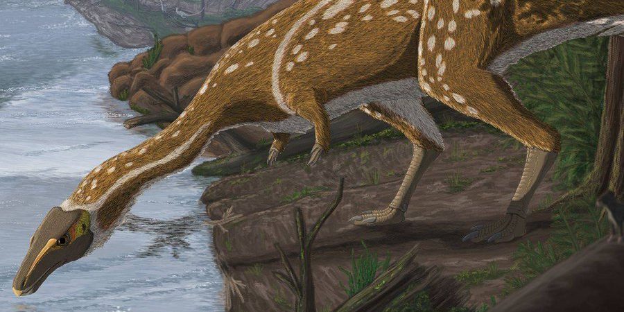 Image depicting dinosaur, as in, 110 million-year-old rare, toothless dinosaur discovered in Australia