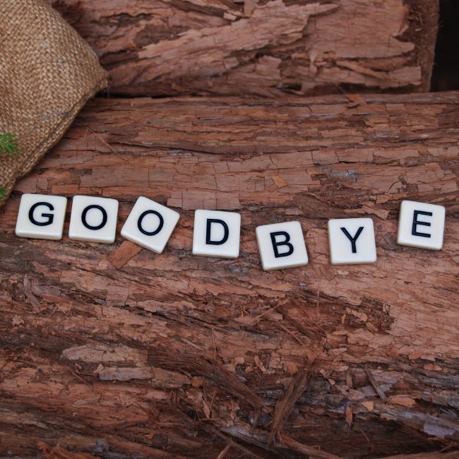 Image depicting Goodbye - What's in a word!