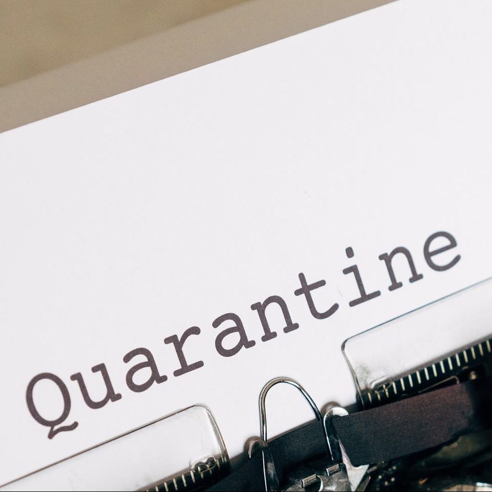 What's in a word - Quarantine | Curious Times