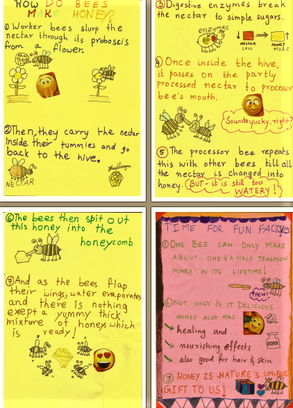 Image depicting Honeybee Lifecycle: Creative Learning for Kids