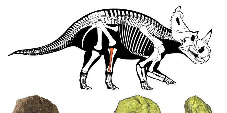 Image depicting dinosaur had cancer as found in a new study