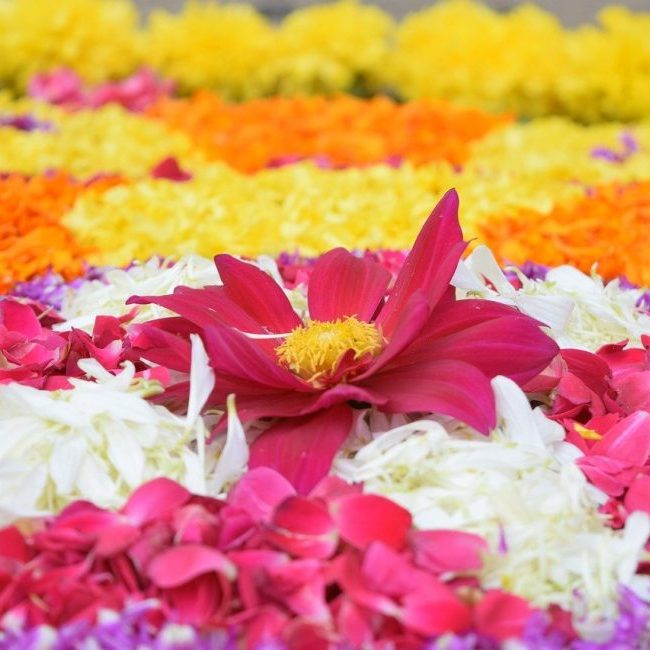 image depicting Celebrating the festival of Onam