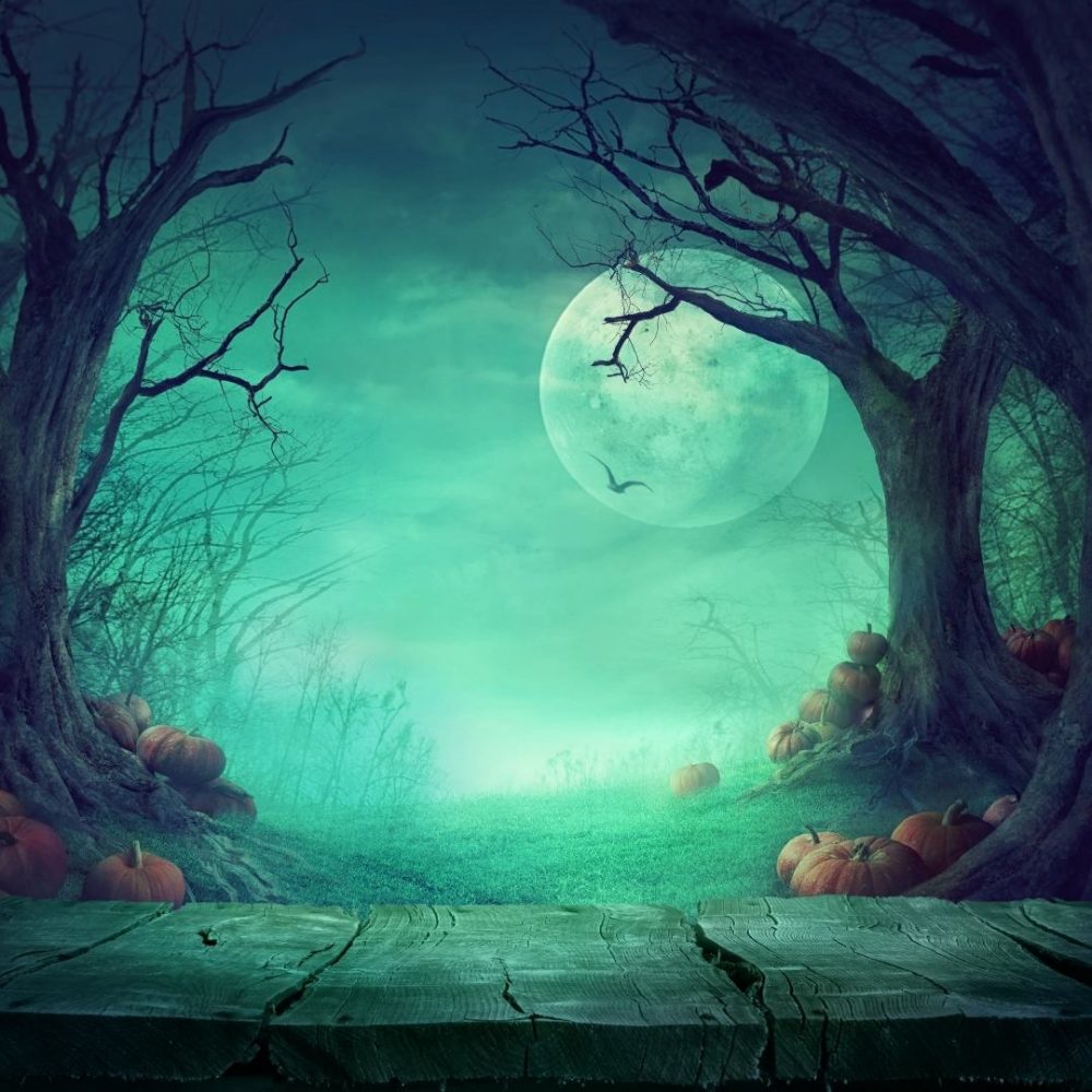 Image depicting The Festival of Halloween!