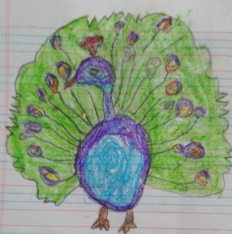 Easy and simple Peacock drawing
