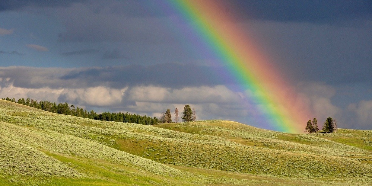 image depicting What causes a rainbow?