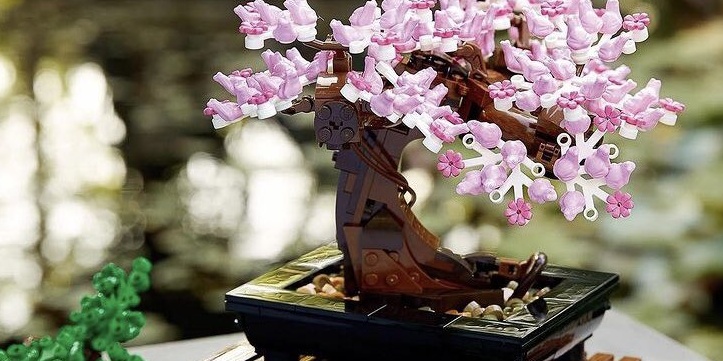 image depicting Build a beautiful cherry blossom Lego bonsai tree, curious times