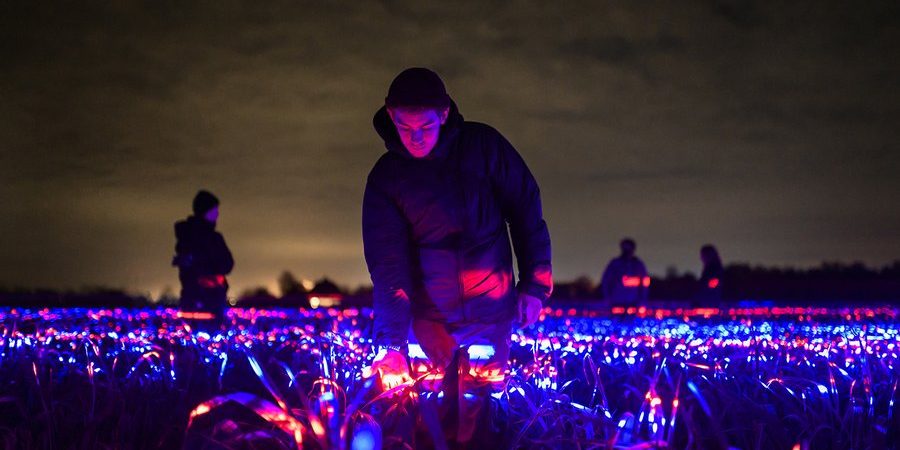 image depicting Dutch artist turns leek field into a dazzling light show