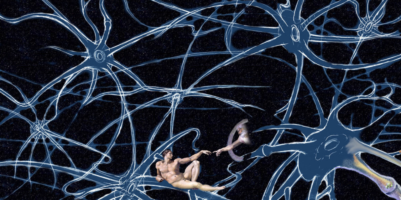 Image depicting Nerve impulses travel to and fro at the speed of 275 km/hour