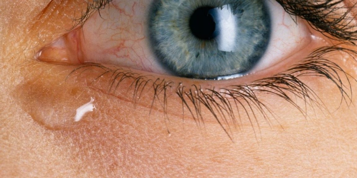 For crying out loud: Dutch scientists grow human tear glands, Human  biology