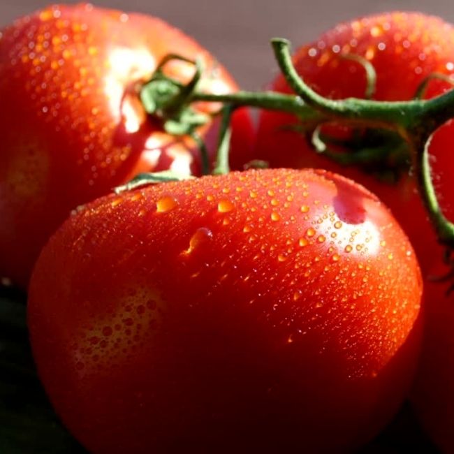 Image depicting What's in a word - Tomato!