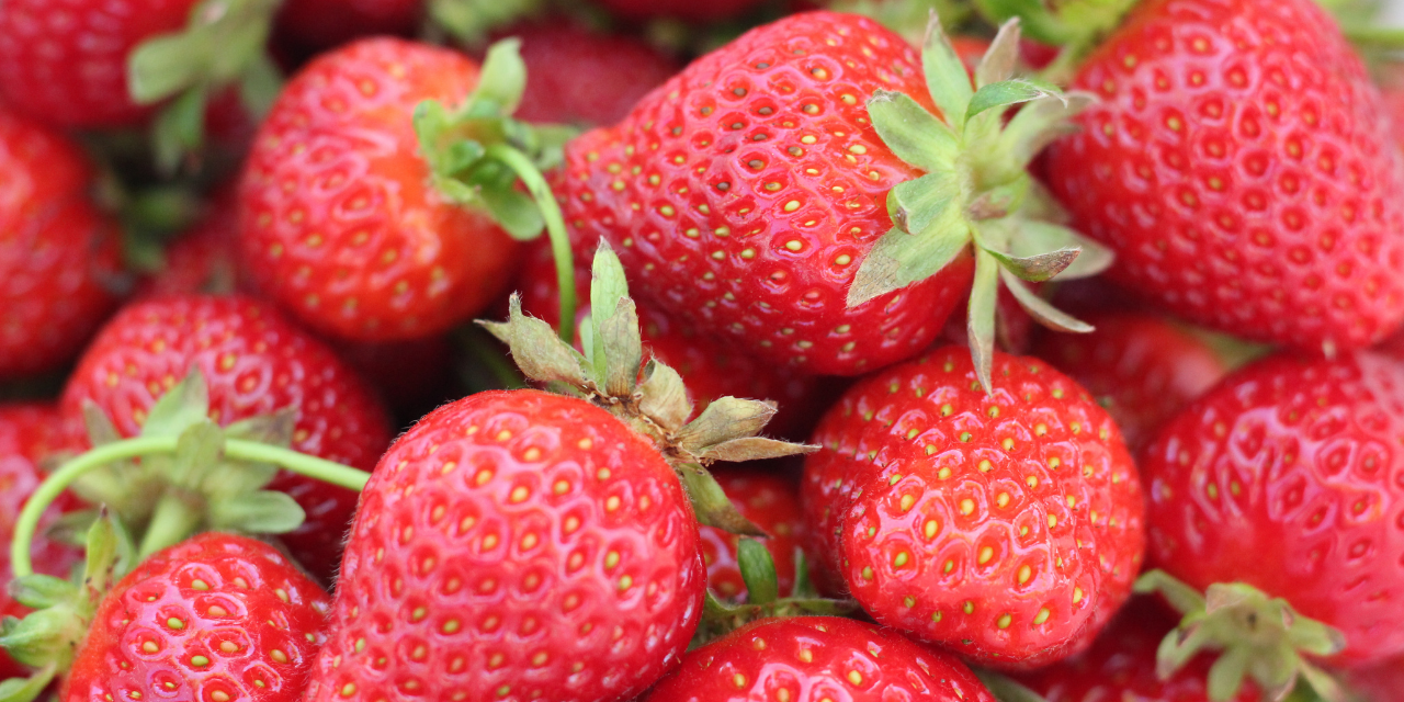 Image depicting strawberry, as in, The strawberry fruit has its 'seeds' on the outside