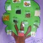Image Depicting Benefits of Trees