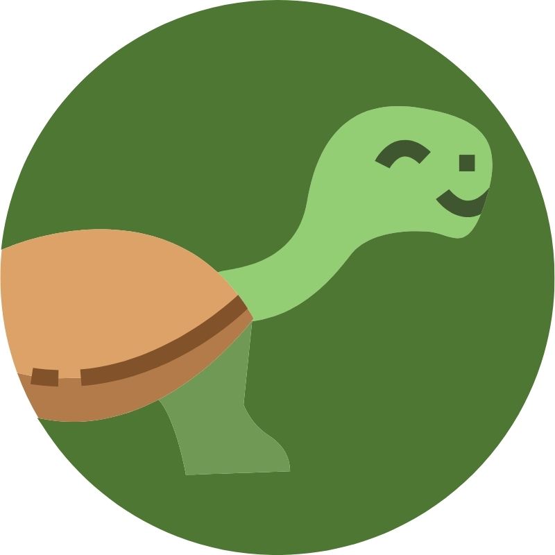 Image depicting World Turtle Day - 23 May