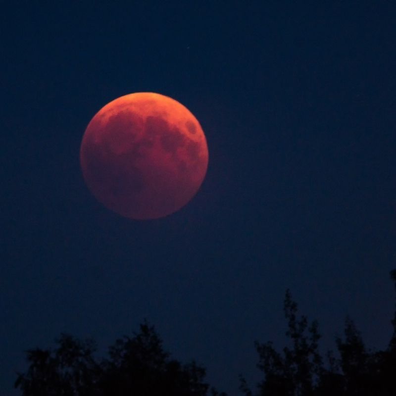 Image depicting See the Blood Moon lunar eclipse on 26 May