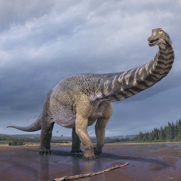 Image depicting largest dinosaur in Australia