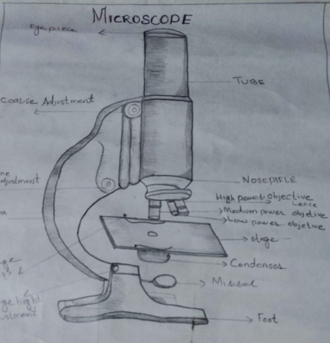 Microscope drawing with pencil sketch/ step by step microscope drawing -  YouTube