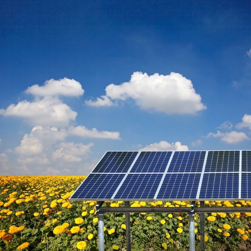 Image depicting solar farms, as in, Solar farms could benefit plants and insects too