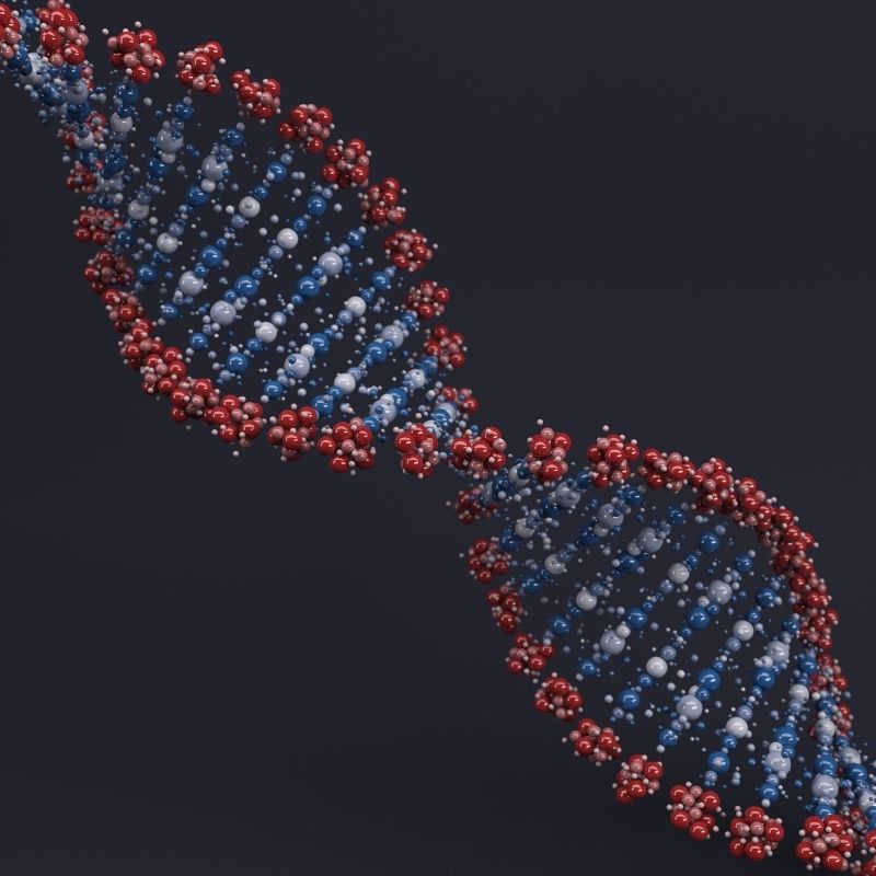 Image depicting DNA, as in, Only a small percentage of our DNA is 'unique' to us