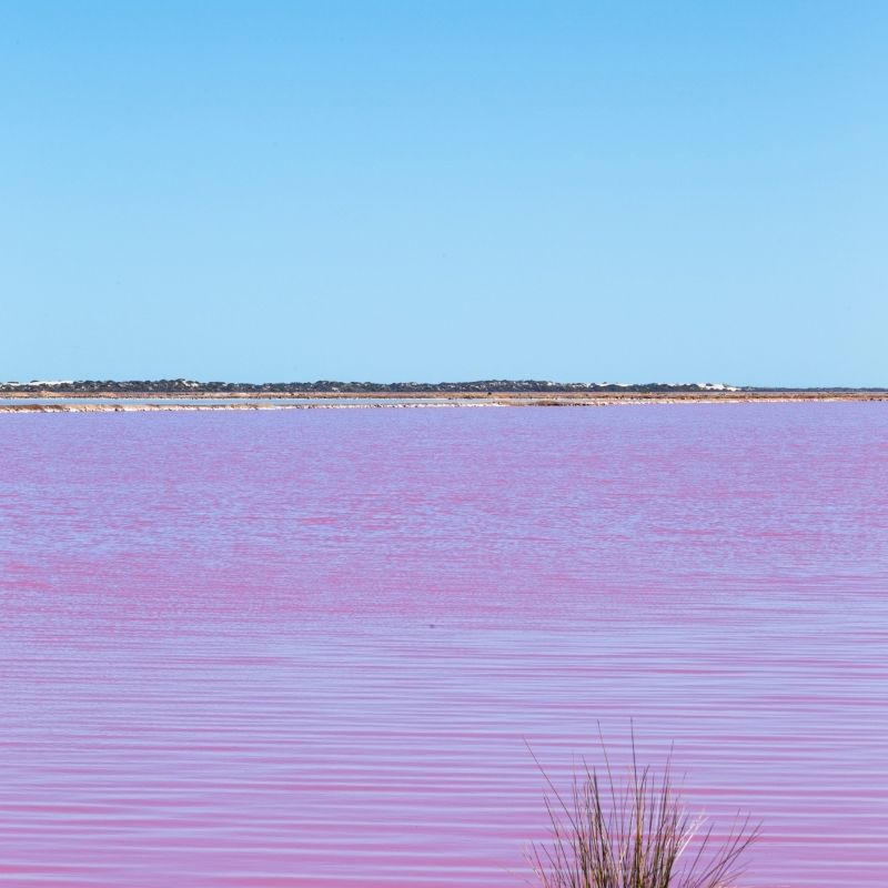 Image depicting pollution, as in, Lagoon in Argentina bright pink in colour due to pollution