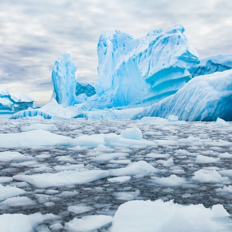 Image depicting Antarctica, as in, Indian scientists discover new plant species in Antarctica