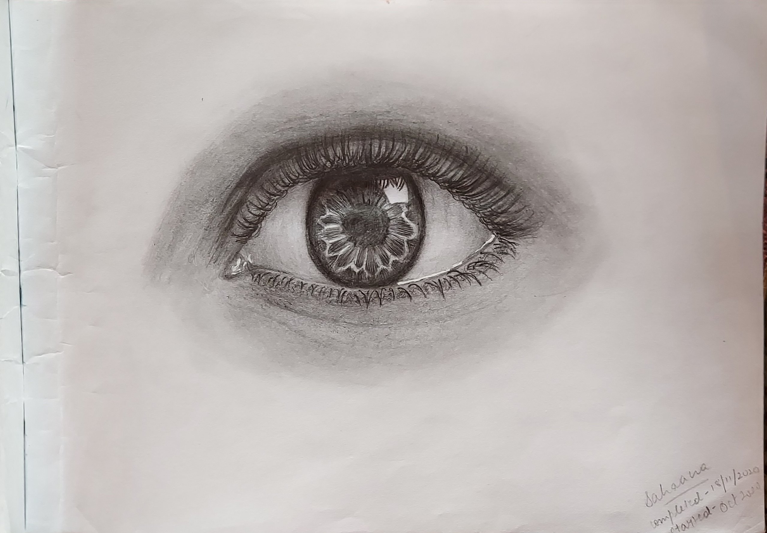 How To Draw An Eye In Pencil, Step by Step, Drawing Guide, by  artistperson95 - DragoArt