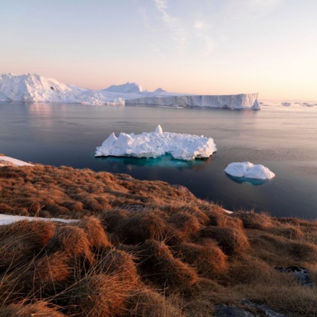 Image depicting Scientists discover world's northernmost island