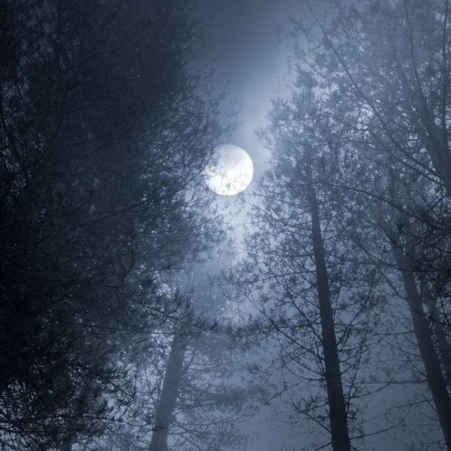 Image depicting blue moon, as in, The full moon of August is a "seasonal blue moon"