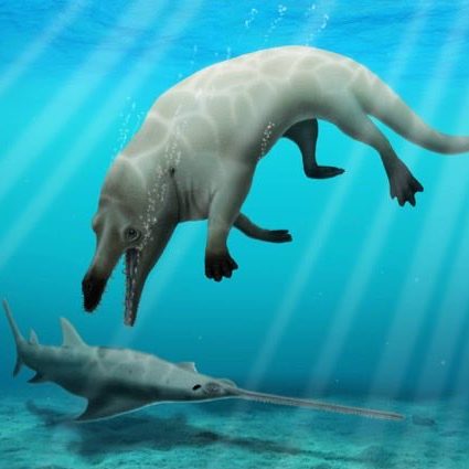 Image depicting New species of ancient four-legged whale discovered in Egypt