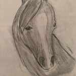 Image depicting Horse Face Sketch: Equine Art Doodle