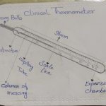 Image depicting A Teenager's Clinical Thermometer Drawing