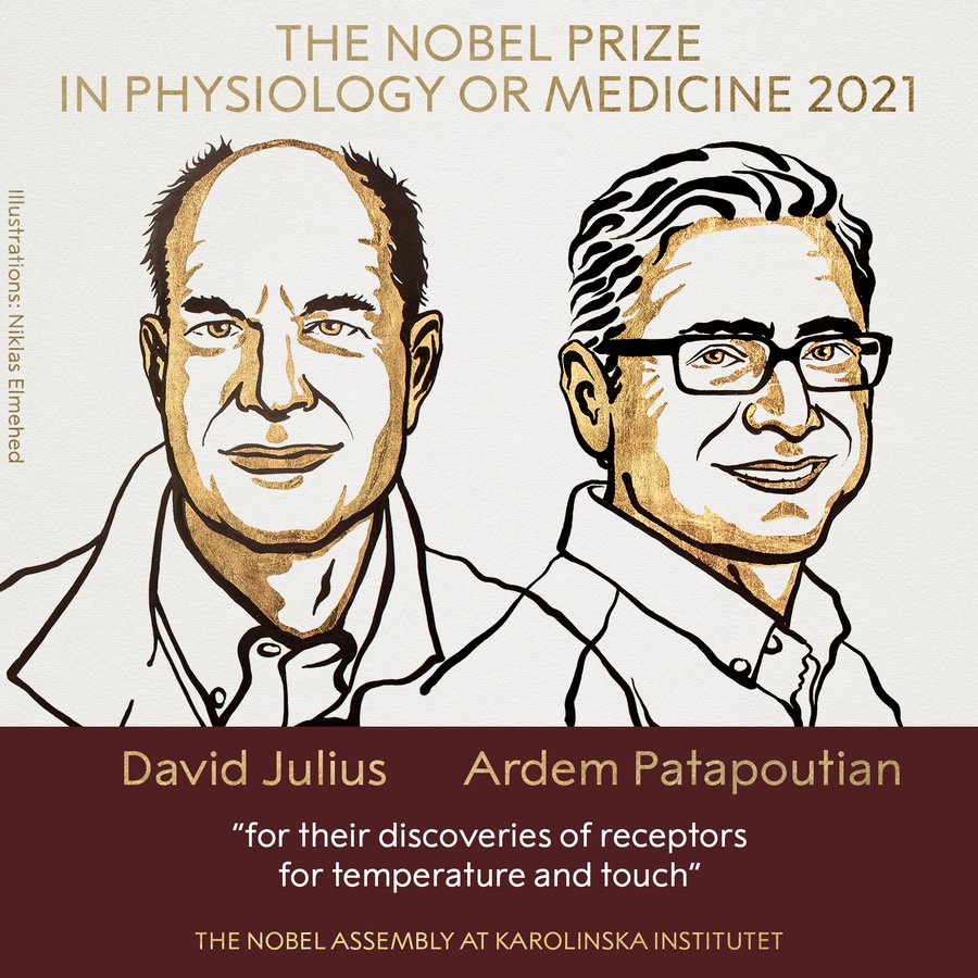 Image depicting Two scientists win Nobel Prize in Medicine for finding out how we sense temperature