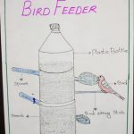 Image depicting Plastic Bottle Bird Feeder: Help Your Feathered Neighbors!